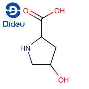 cis-4-Hydroxy-D-proline