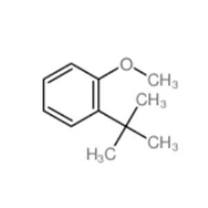 Benzene,1-(1,1-dimethylethyl)-2-methoxy-