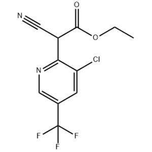 Ethyl 2-[3-chloro-5-(trifluoromethyl)-2-pyridyl]-2-cyanoacetate