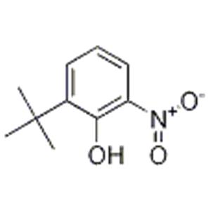 2-(tert-Butyl)-6-nitrophenol