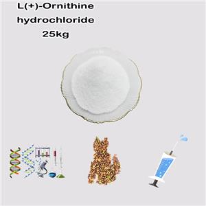 L(+)-Ornithine hydrochloride