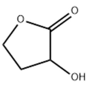 ALPHA-HYDROXY-GAMMA-BUTYROLACTONE