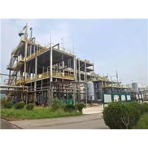 Ethylene Glycol Monopropyl Ether