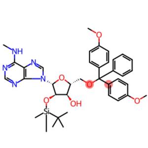 5'-DMT-2'-TBDMS-N6-Me-rA