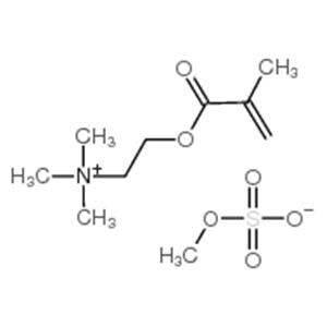 [2-(methacryloyloxy)ethyl]trimethylammonium methyl sulphate