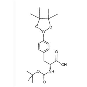 (S)-2-((tert-Butoxycarbonyl)amino)-3-(4-(4,4,5,5-tetramethyl-1,3,2-dioxaborolan-2-yl)phenyl)propanoic acid