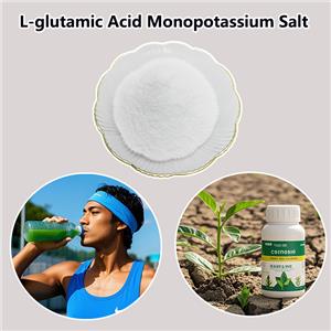 L-glutamic Acid Monopotassium Salt