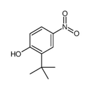 2-(TERT-BUTYL)-4-NITROPHENOL