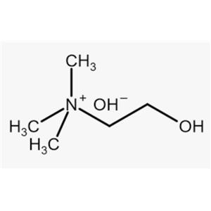 Chonluten 20mg (Bioregulator)