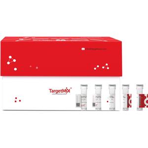 TMPRSS2 Protein, Human, Recombinant (E. coli, His)