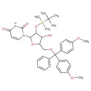5'-DMT-2'-TBDMS-RU