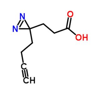 3-[3-(3-Butyn-1-yl)-3H-diazirin-3-yl]propanoic Acid