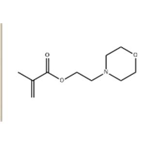 2-morpholinoethyl methacrylate