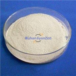 Citicoline Sodium