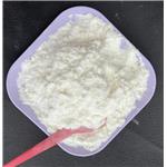 73-78-9 Lidocaine Hcl