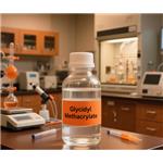 106-91-2 Glycidyl Methacrylate