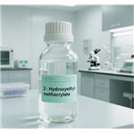 868-77-9 2-Hydroxyethyl methacrylate