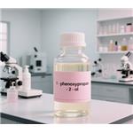 770-35-4 1-phenoxypropan-2-ol