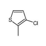 3-chloro-2-methylthiophene pictures