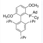 AdCyBrettPhos pictures