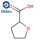87392-05-0 (R)-(+)-Tetrahydro-2-furoic acid