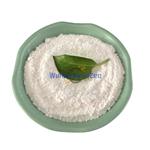 33069-62-4 Paclitaxel