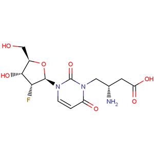 2'-Deoxy-2'-fluoro- N3-(2S)-(2-amino-3-carbonyl)-propyluridine
