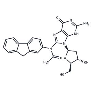 Acetylaminofluorene-dG