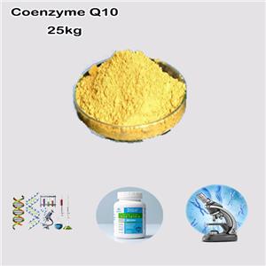 Coenzyme Q10/Ubiquinone