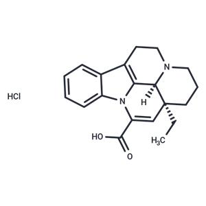 Apovincaminic acid hydrochloride salt