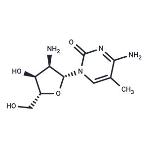 2'-Amino-2'-deoxy-5-methylcytidine
