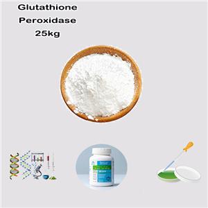 Glutathione Peroxidase