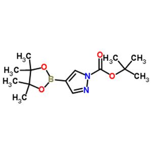 1-Boc-4-pyrazoleboronic Acid Pinacol Ester
