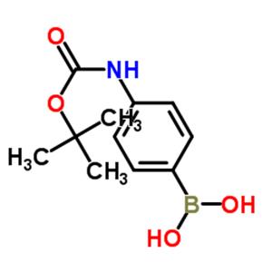 (4-Boc-aminophenyl)boronic acid