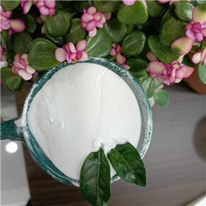 Testosterone Undecanoate