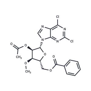9-(2'-O-Acetyl-5'-O-benzoyl-3'-O-methyl-beta-D-ribofuranosyl)-2,6-dichloropurine