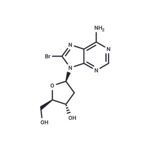 8-Bromo-2'-deoxyadenosine