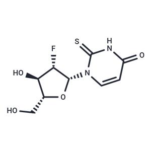2'-Deoxy-2'-fluoro-b-D-arabino-2-thiouridine