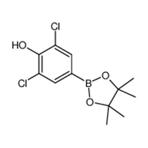 3,5-Dichloro-4-hydroxyphenylboronic acid pinacol ester