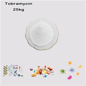 Tobramycin Base