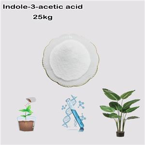 Indole-3-acetic acid