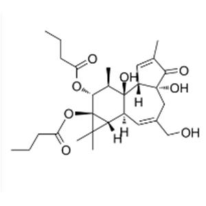 Phorbol-12