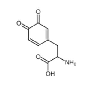 2-amino-3-(3,4-dioxocyclohexa-1,5-dien-1-yl)propanoic acid