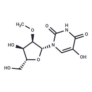 5-Hydroxy-2'-O-methyluridine
