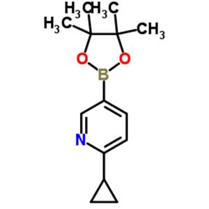 2-Cyclopropyl-5-(4,4,5,5-tetramethyl-1,3,2-dioxaborolan-2-yl)pyridine