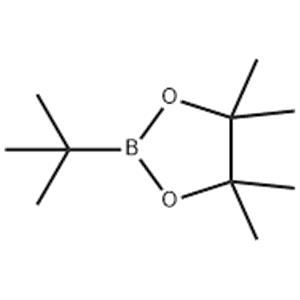 2-(tert-Butyl)-4,4,5,5-tetramethyl-1,3,2-dioxaborolane