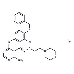 JNJ28871063 hydrochloride