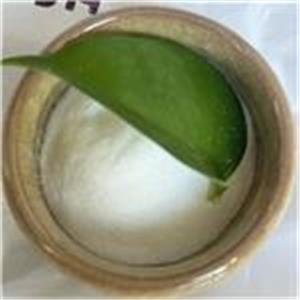 Nandrolone Phenylpropionate