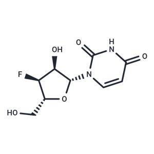 3'-Deoxy-3'-fluorouridine
