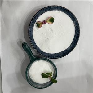 Exemestane(Aromasin)